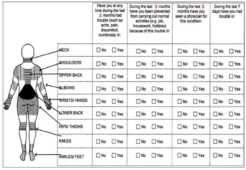 Low Back Pain - Lower Back - Conditions - Musculoskeletal - What