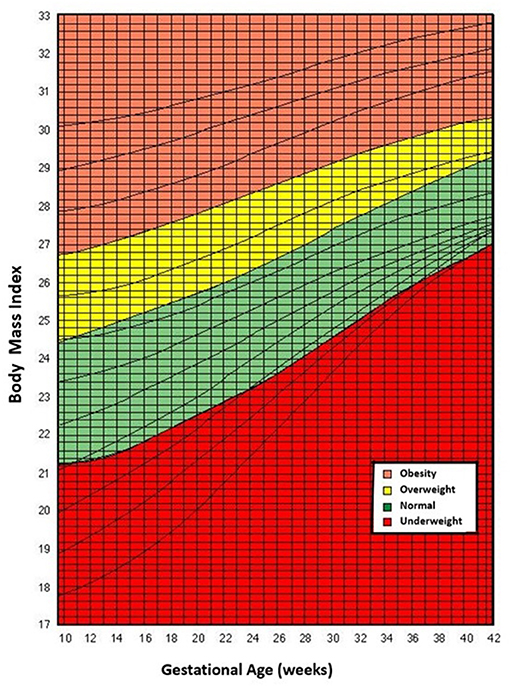 8 O-scale proportional weight (kg) ratings for females and males