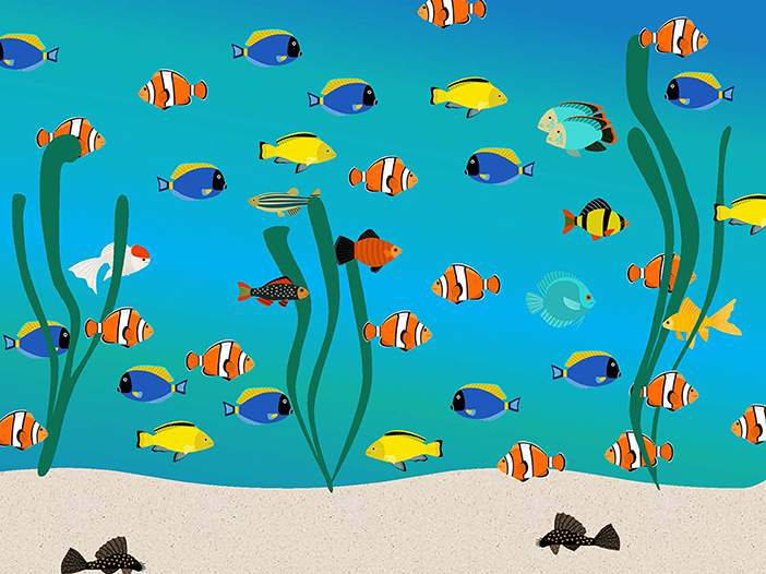 Figure 1 - Example of a fish community.