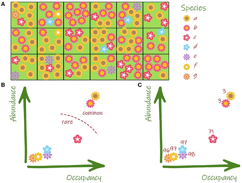 Figure 2 - (A) To survey plant species (a to g), we divided the study area in 18 quadrats.