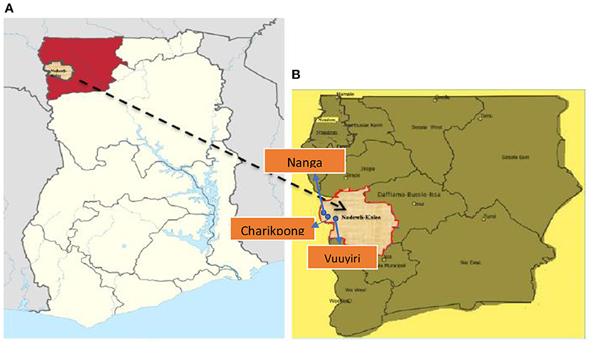 Gold mining critically impairs water quality in rivers across