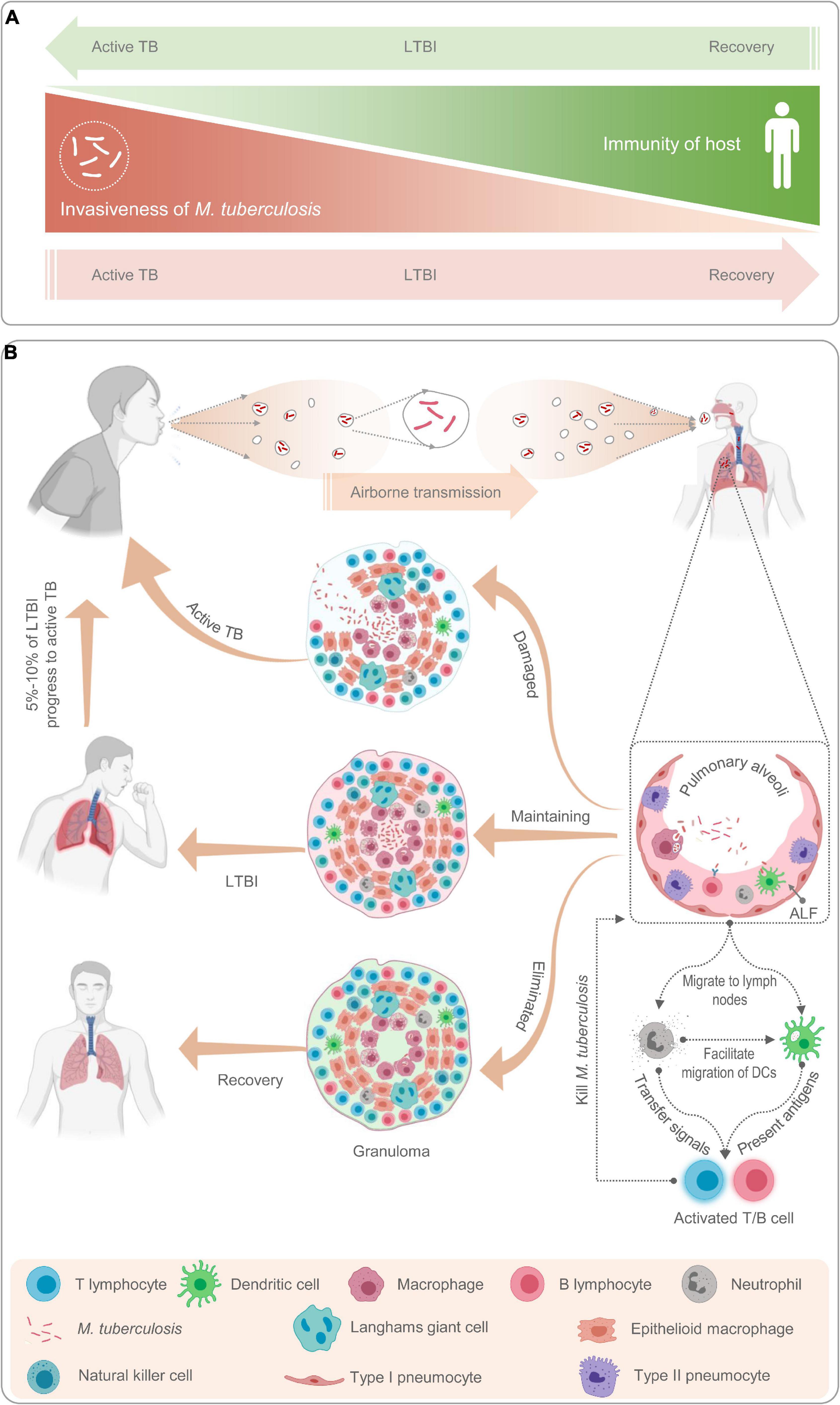 Tuberculosis: Science Aimed at Ending the Epidemic