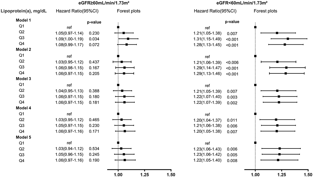 Frontiers  Association of Lipoprotein(a)-Associated Mortality and the  Estimated Glomerular Filtration Rate Level in Patients Undergoing Coronary  Angiography: A 51,500 Cohort Study
