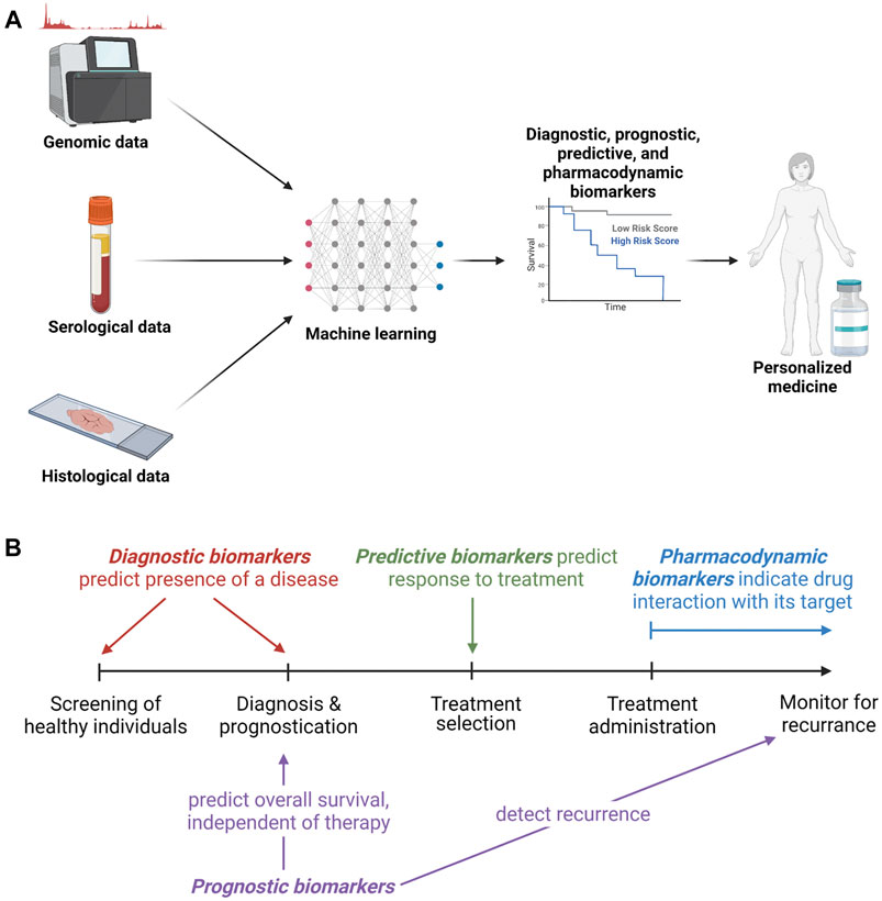 Frontiers Integrating Molecular Biomarker Inputs Into Development And