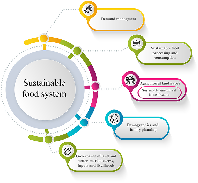 Frontiers  Gap analysis and methodological framework to assess and develop  water centric sustainable agricultural intensification pathways in Sub-Saharan  Africa