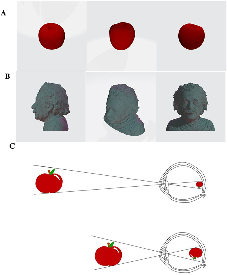 Figure 1 - Examples of visual constancy.