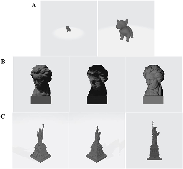 Figure 2 - Types of perceptual constancy.