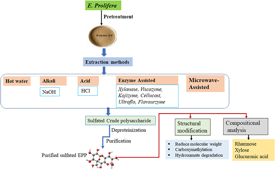 frontiers-extraction-techniques-biological-activities-and-health