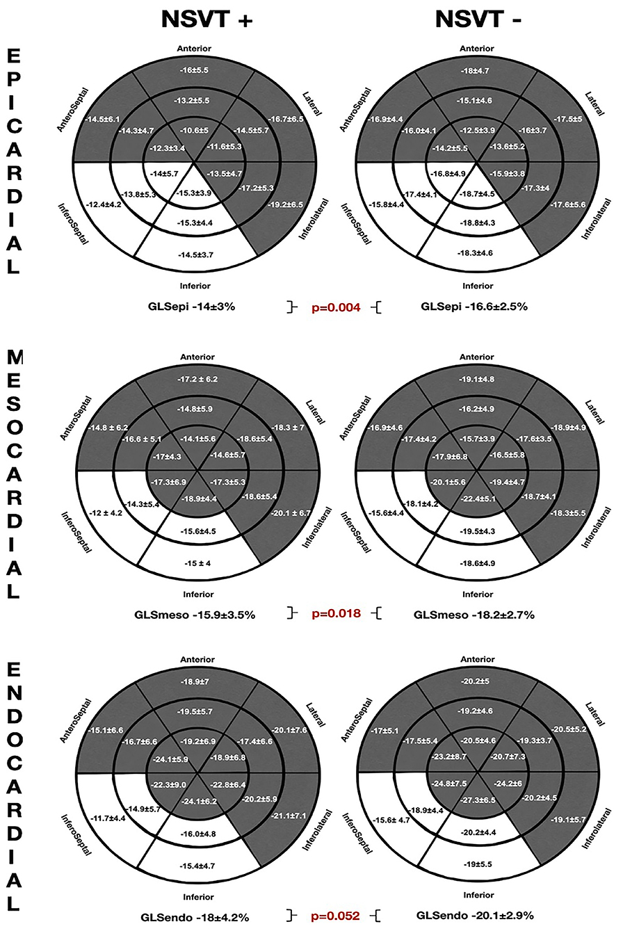 InTENsity™ 10 – ChiroPTSupply