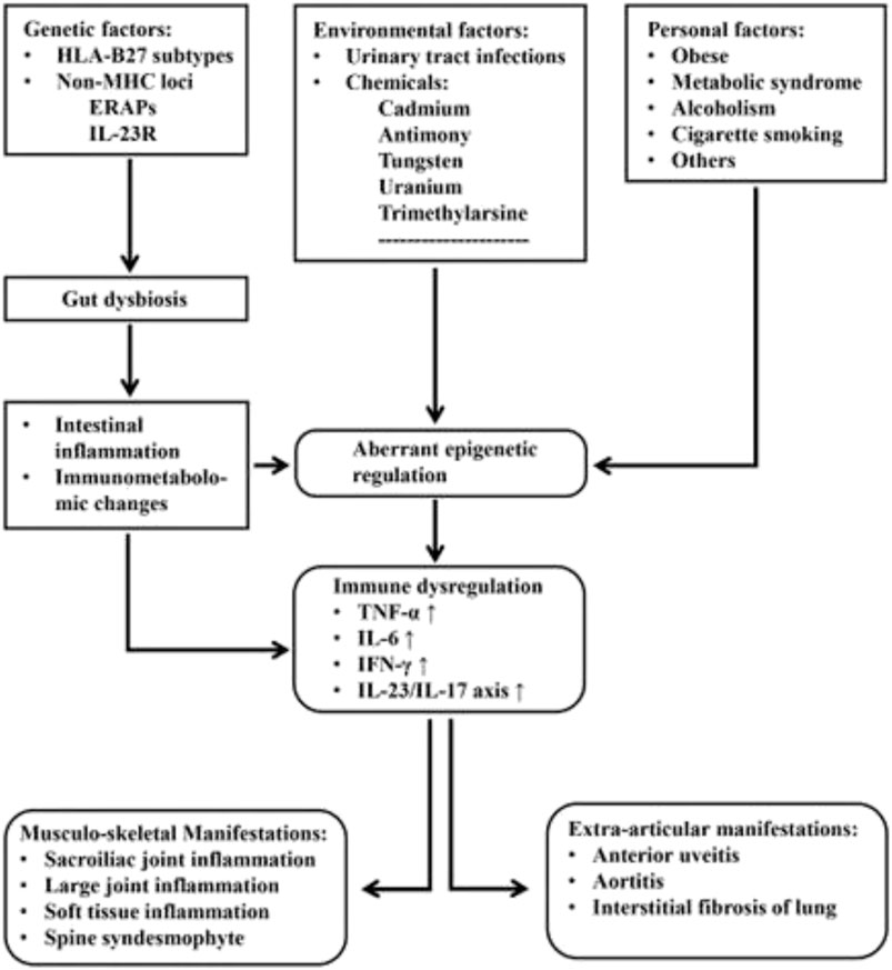 Frontiers The Potential Role Of Genetics Environmental Factors And