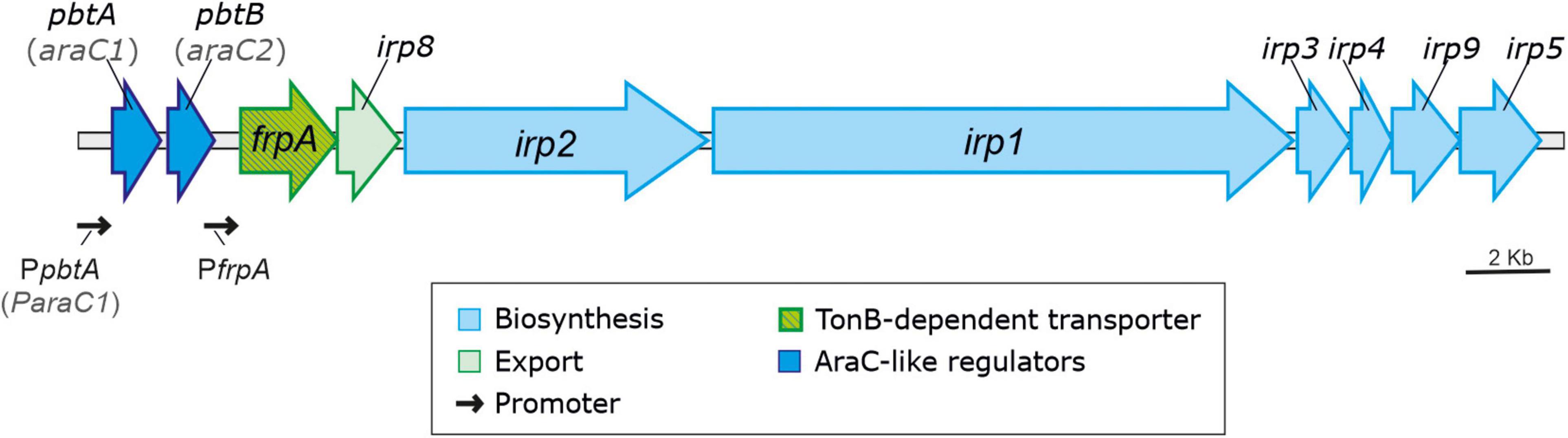 PFRPA
