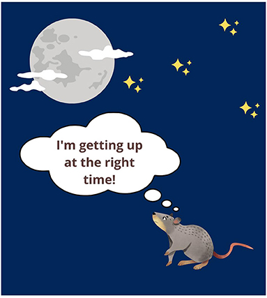 Figure 2 - This mouse is in the moonlight.