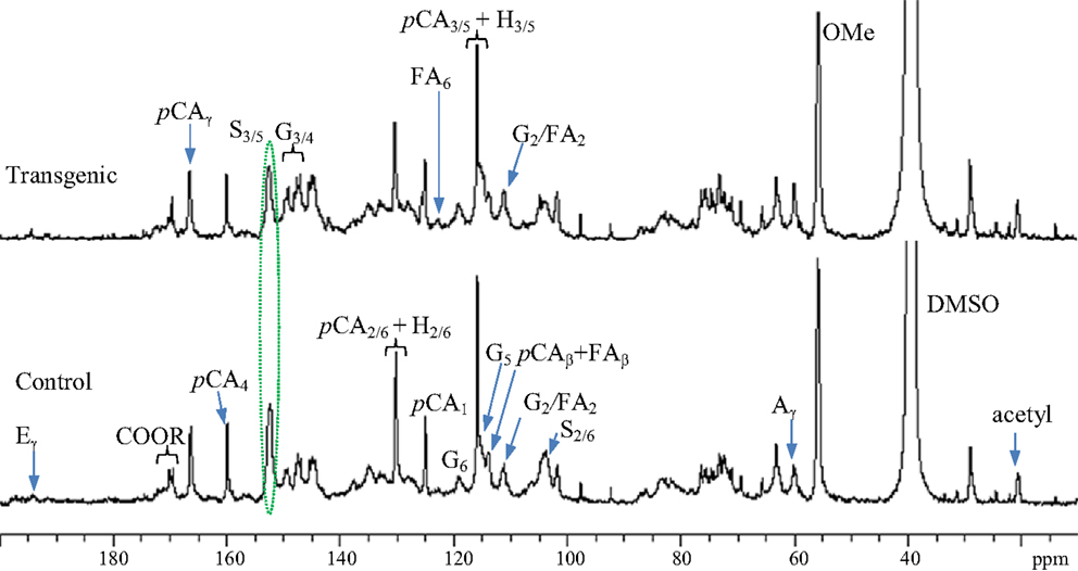 The main substructures of lignin in the spectra (A: β-O-4