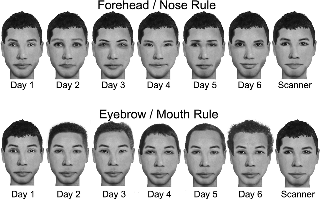 nose types chart