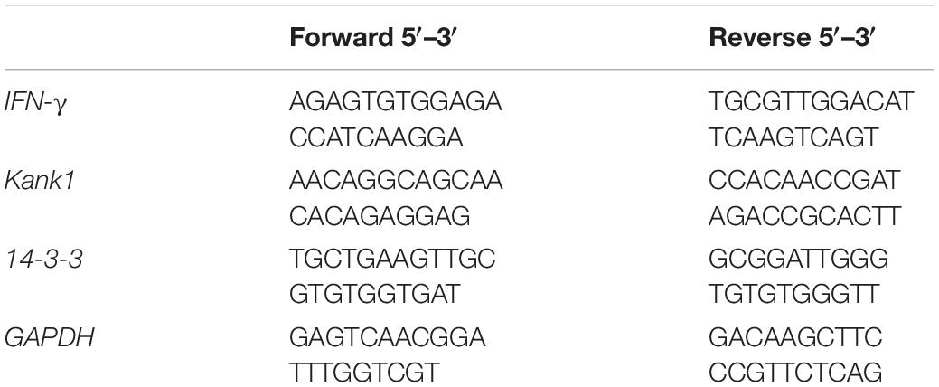 Frontiers | LncRNA-ENST00000421645 Upregulates Kank1 to