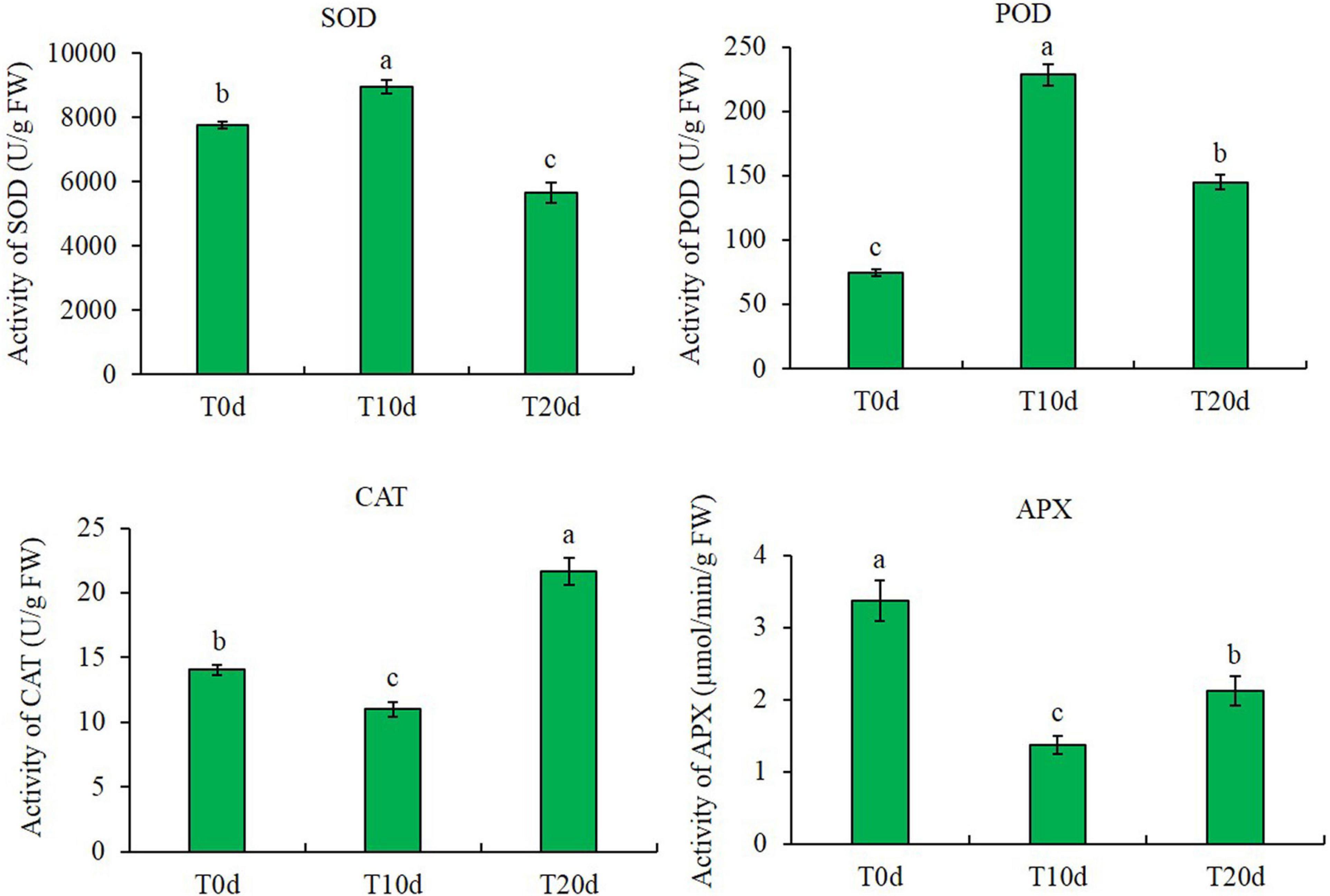 Frontiers | Comparative Proteomic Analysis of Grapevine Rootstock in Response to Waterlogging Stress Plant Science