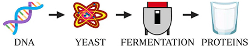 www.frontiersin.org