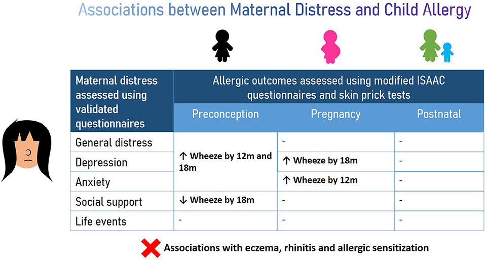 Frontiers | Associations Between Maternal Distress During Early Life ...