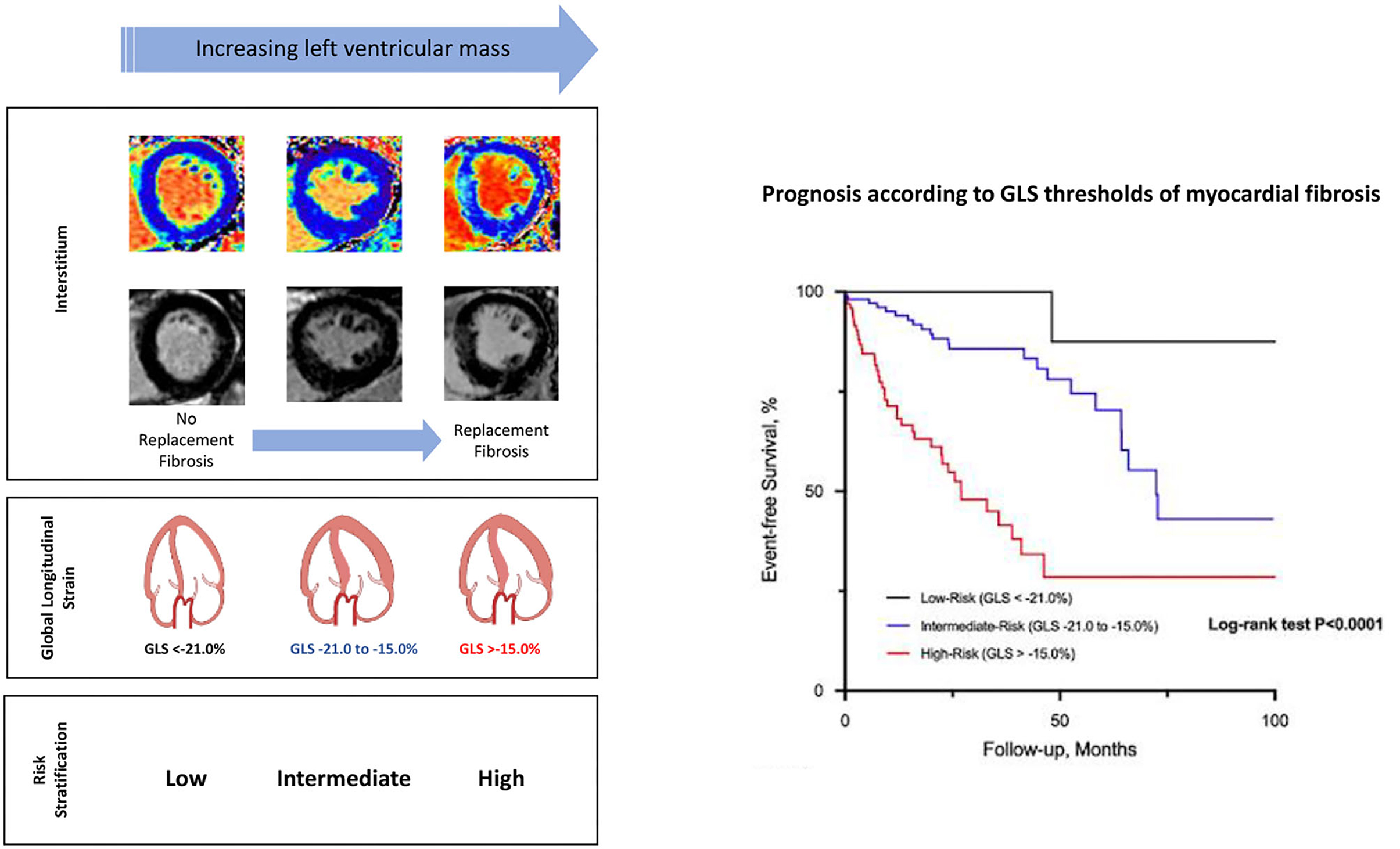 JACC Journals on X: #whyCMR global longitudinal strain (GLS) &