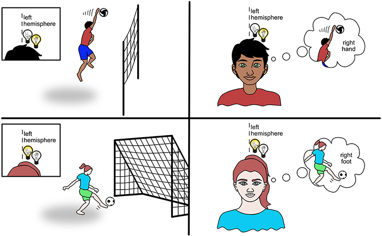 Figure 3 - When you use your hands or feet, different areas of the brain will activate.