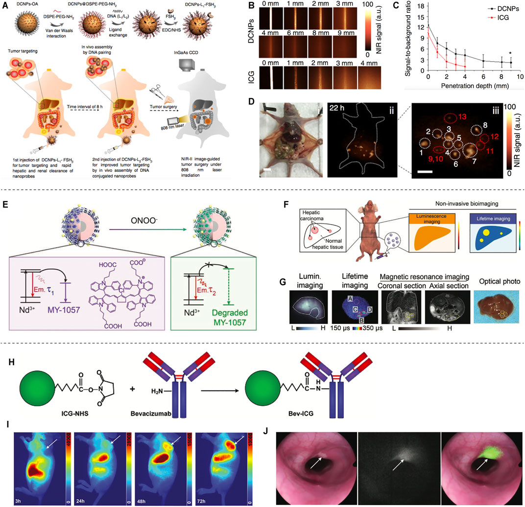 Frontiers | Recent Advances in Second Near-Infrared Region (NIR-II