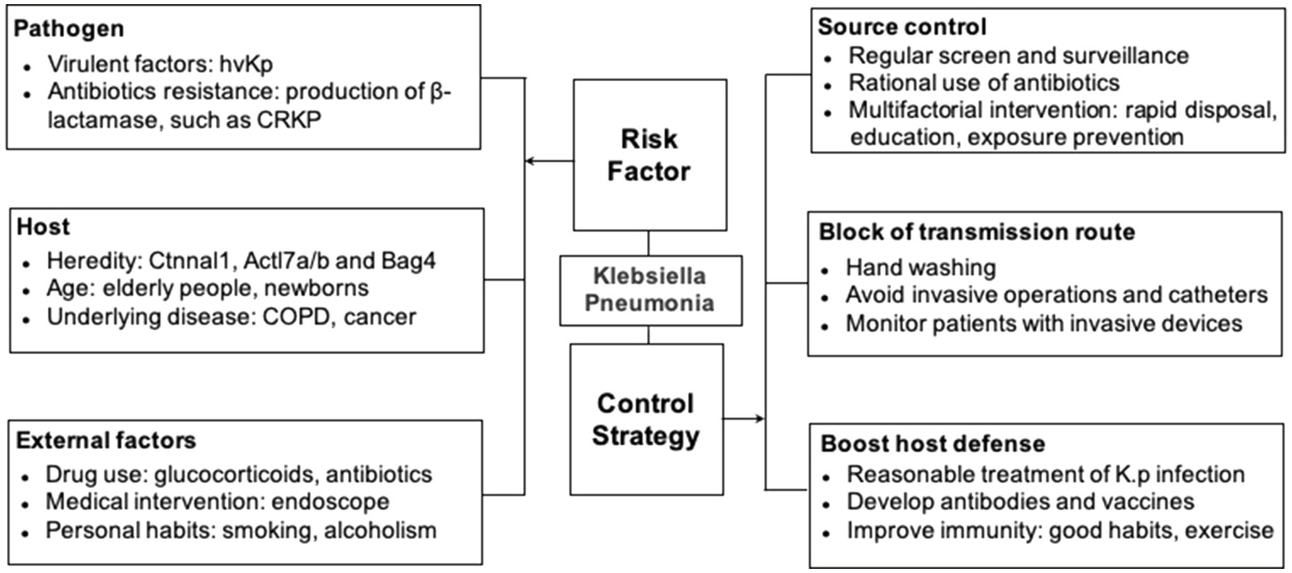 Staphylococcus Aureus: Transmission, Symptoms, Risk Factors, Diagnosis and  Treatment