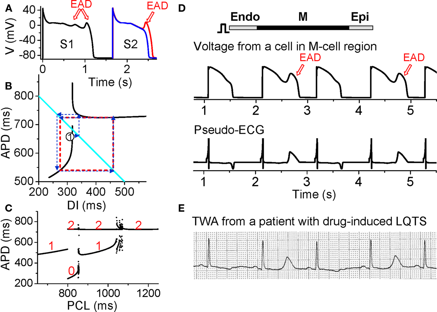 alternans