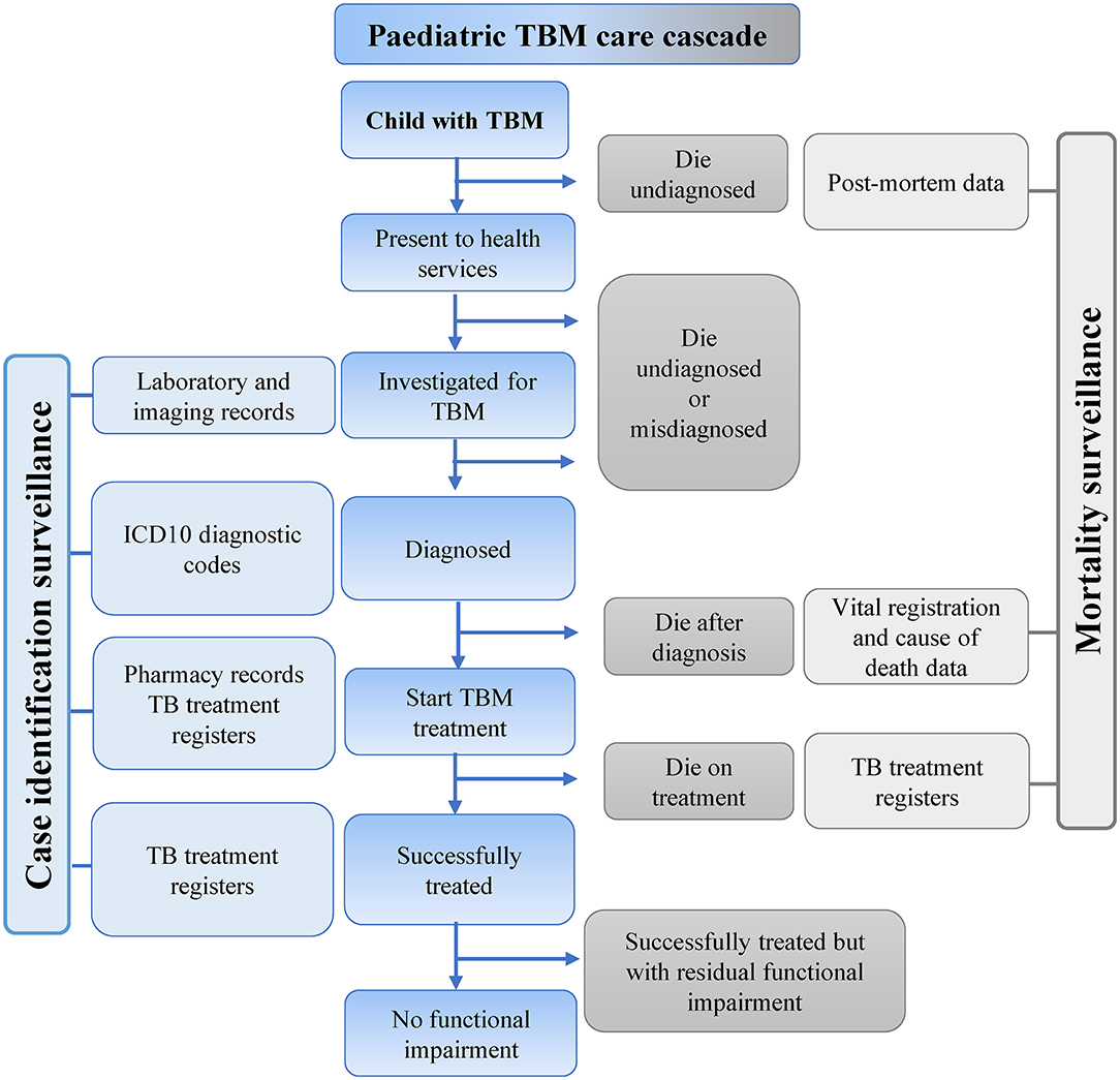 case study on tb meningitis