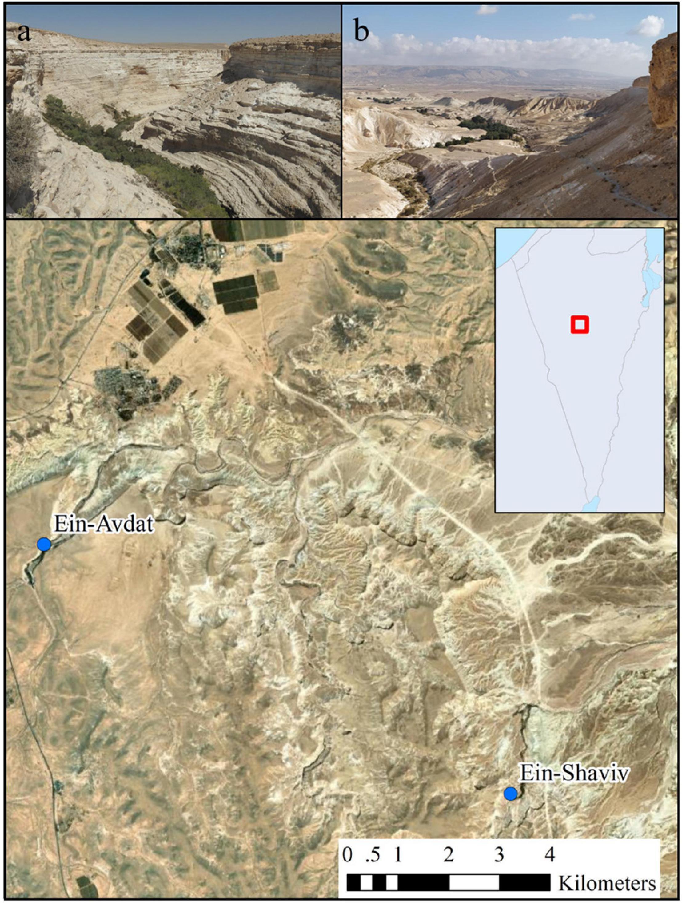www.frontiersin.org