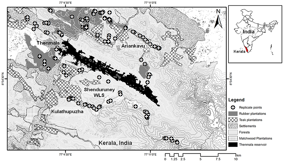 Frontiers  Ecosystems Services Provided by Bats Are at Risk in Brazil