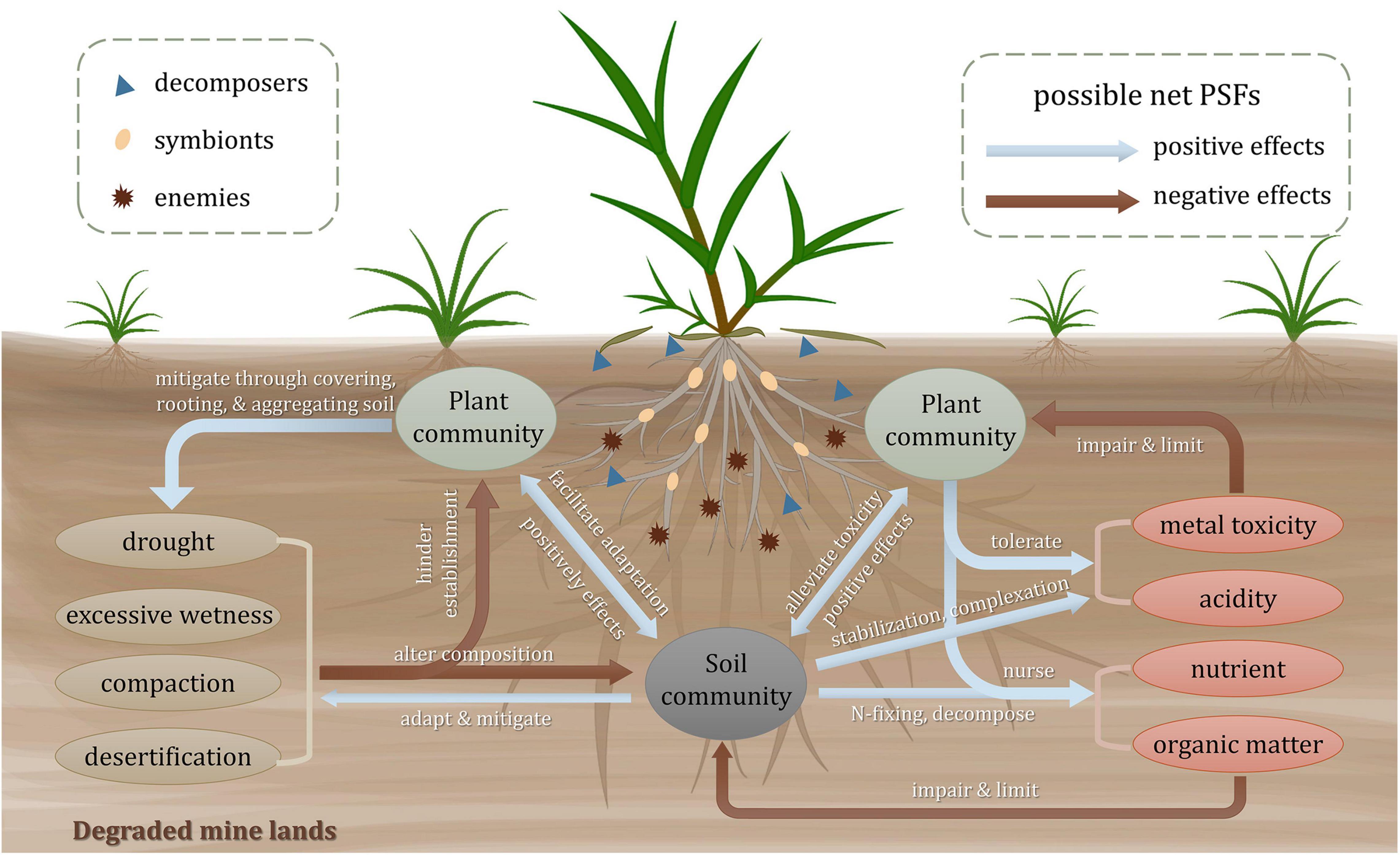 Activated Carbon Helps Restore Native Plant Communities