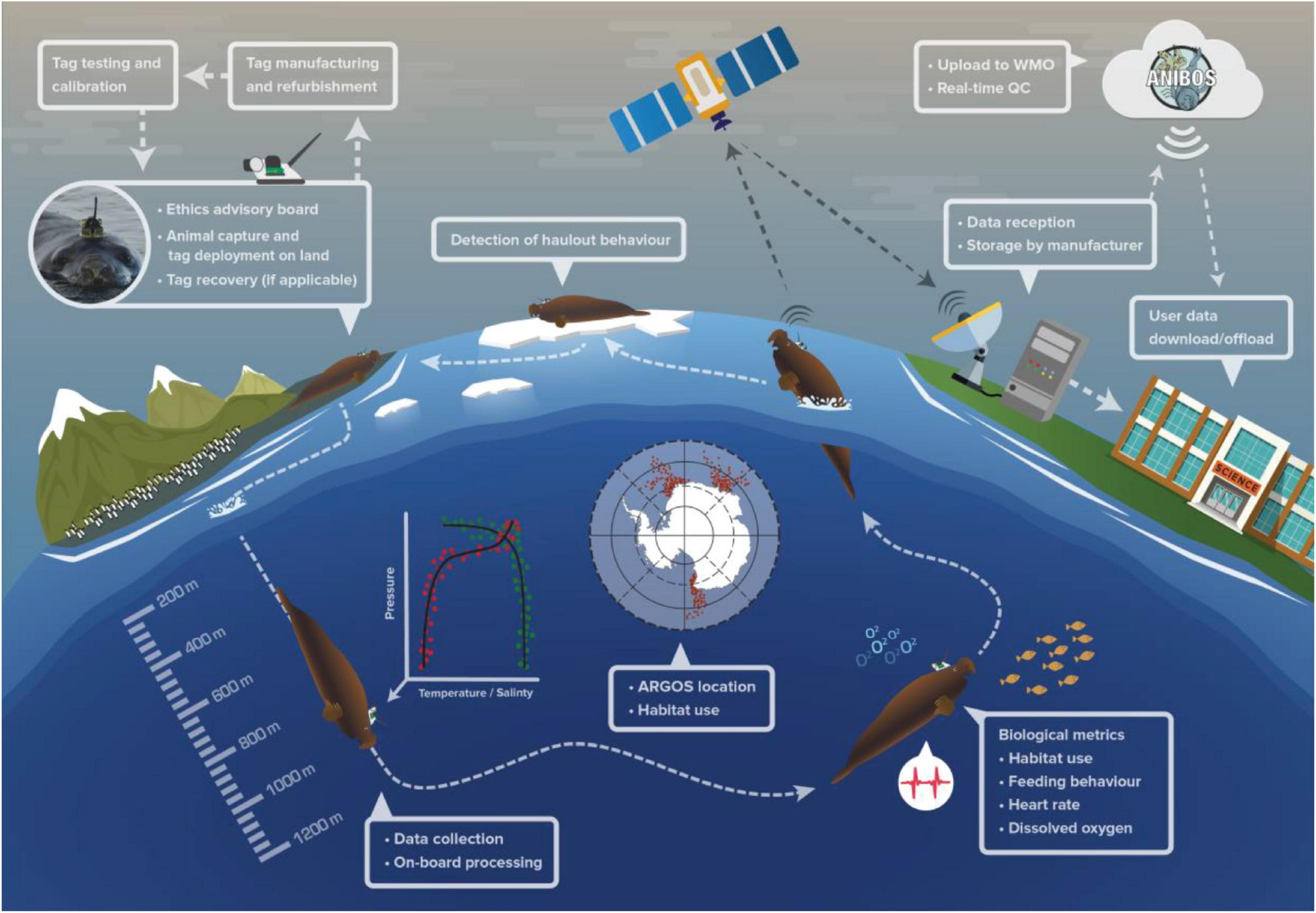Mediterranean Sea: underwater sensors monitor global warming