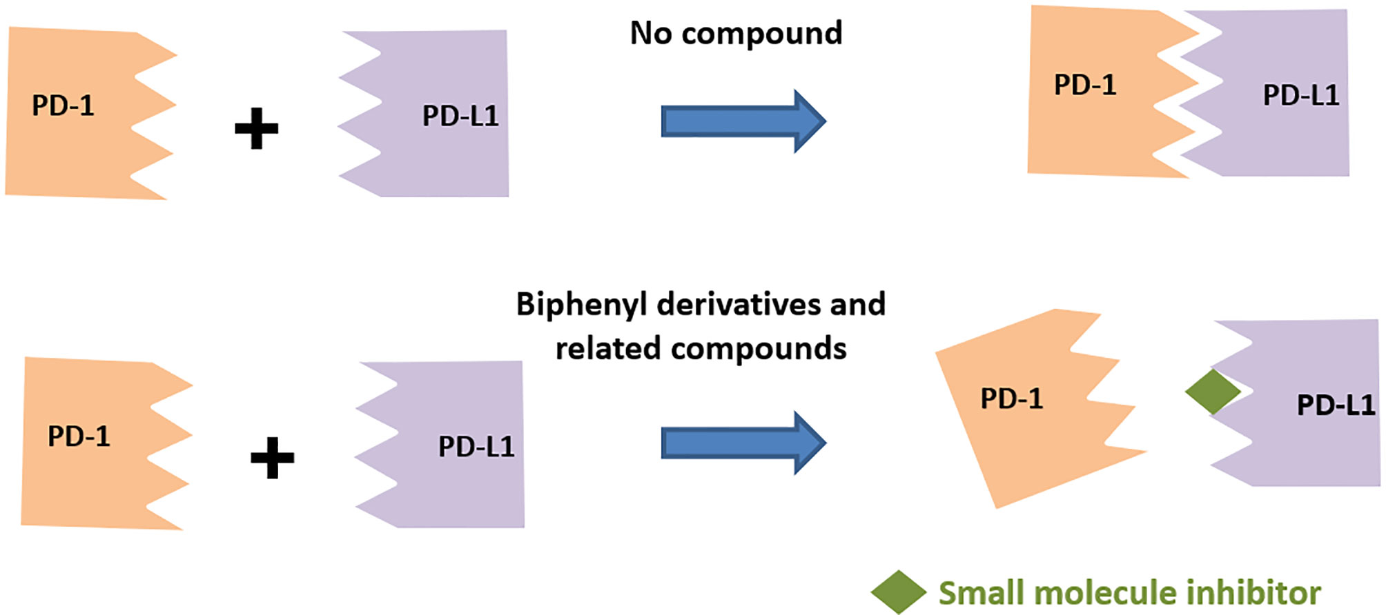 Advances in the Development of Nonpeptide Small Molecules