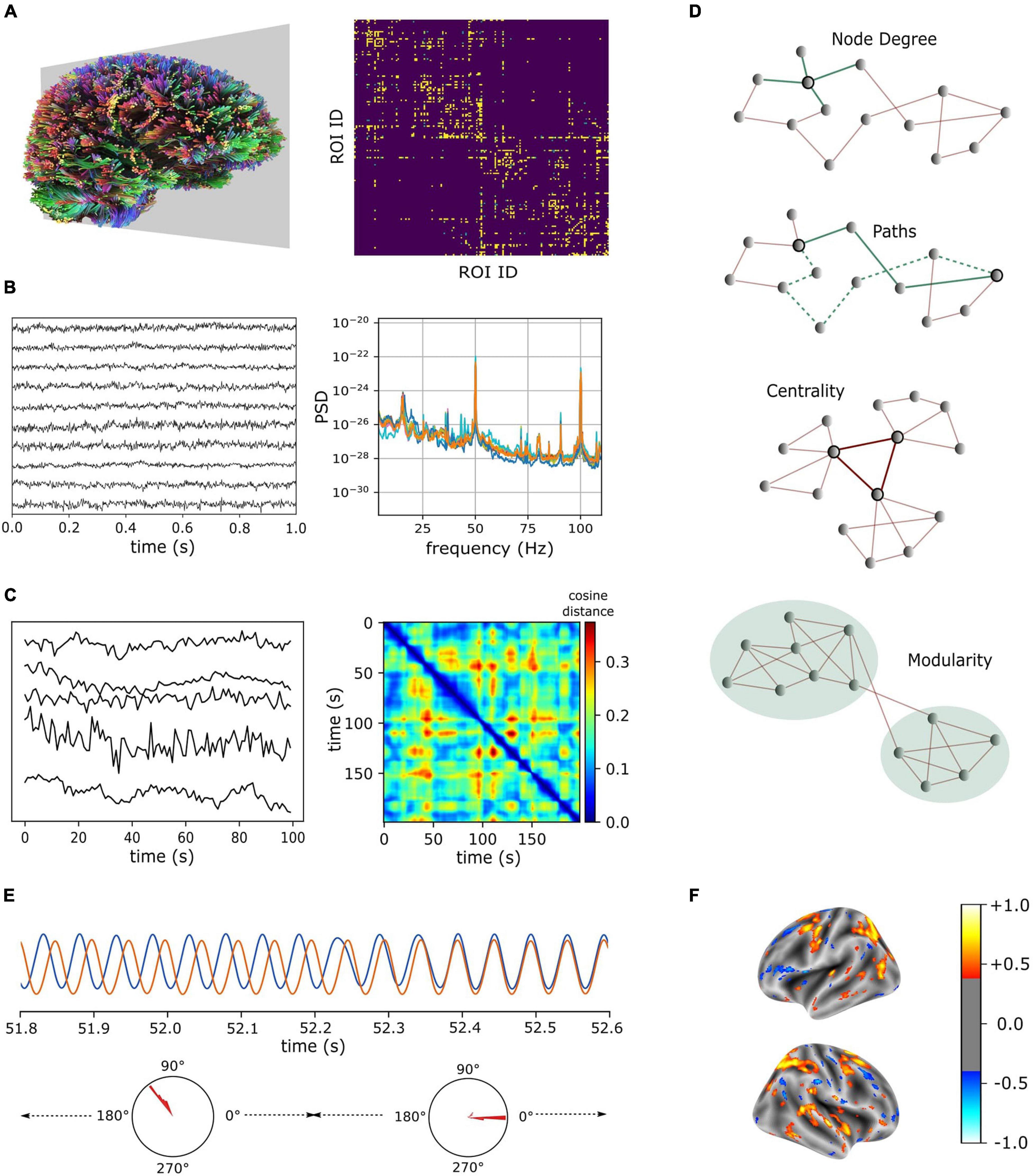 How the Mind Emerges from the Brain's Complex Networks