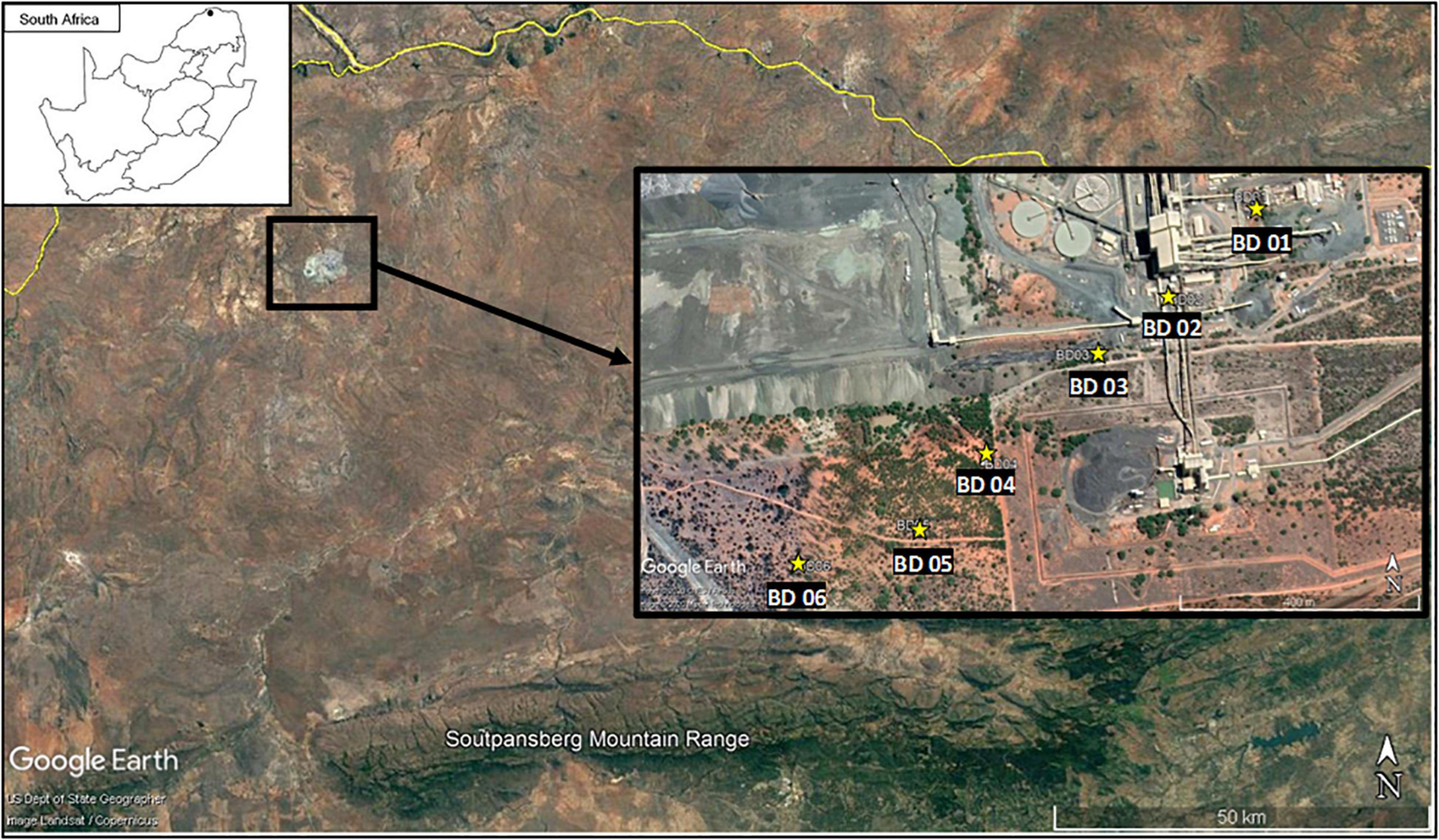 Frontiers  Ecosystems Services Provided by Bats Are at Risk in Brazil