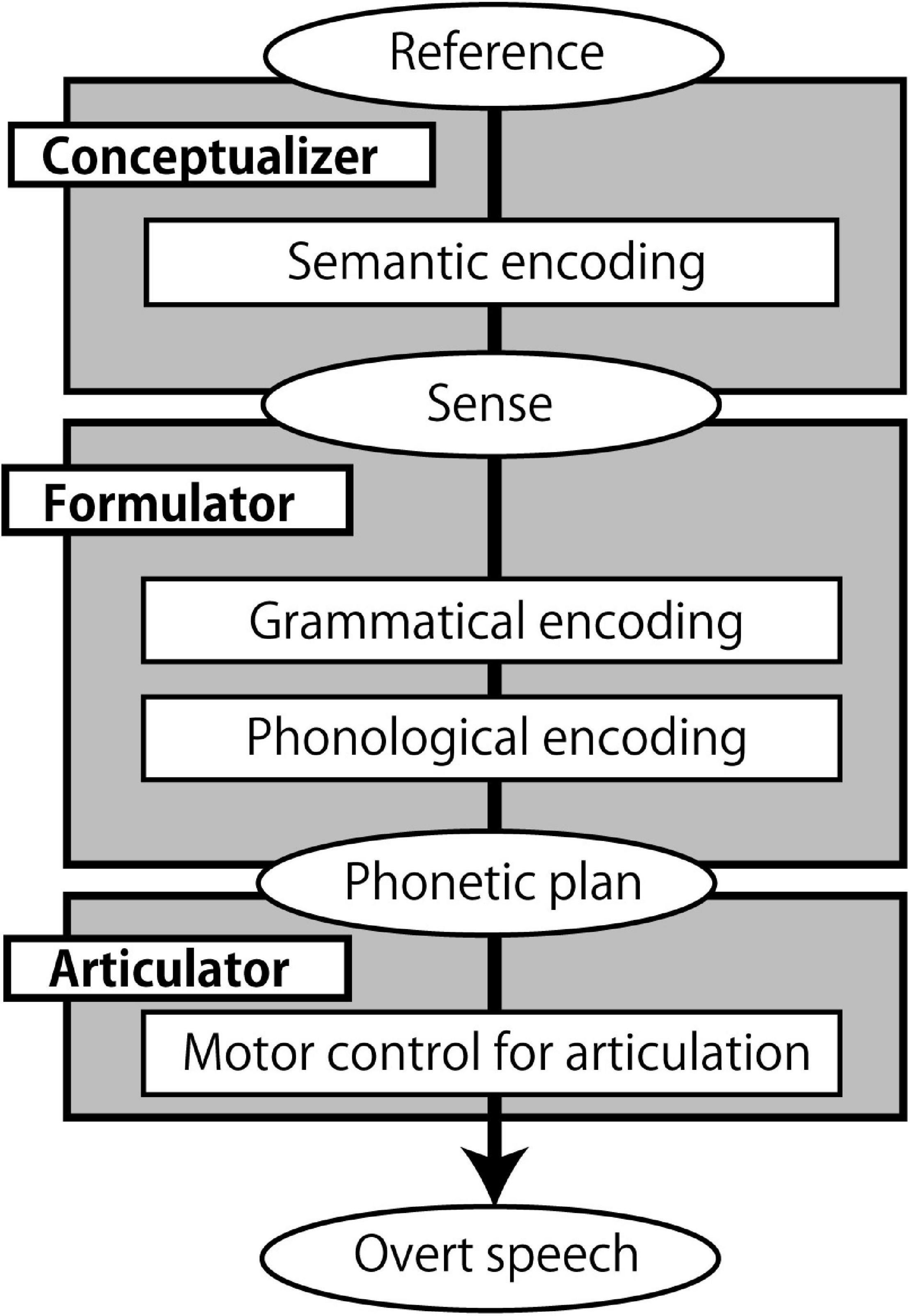 PDF) Prolegomena to a Neurocomputational Architecture for Human Grammatical  Encoding and Decoding