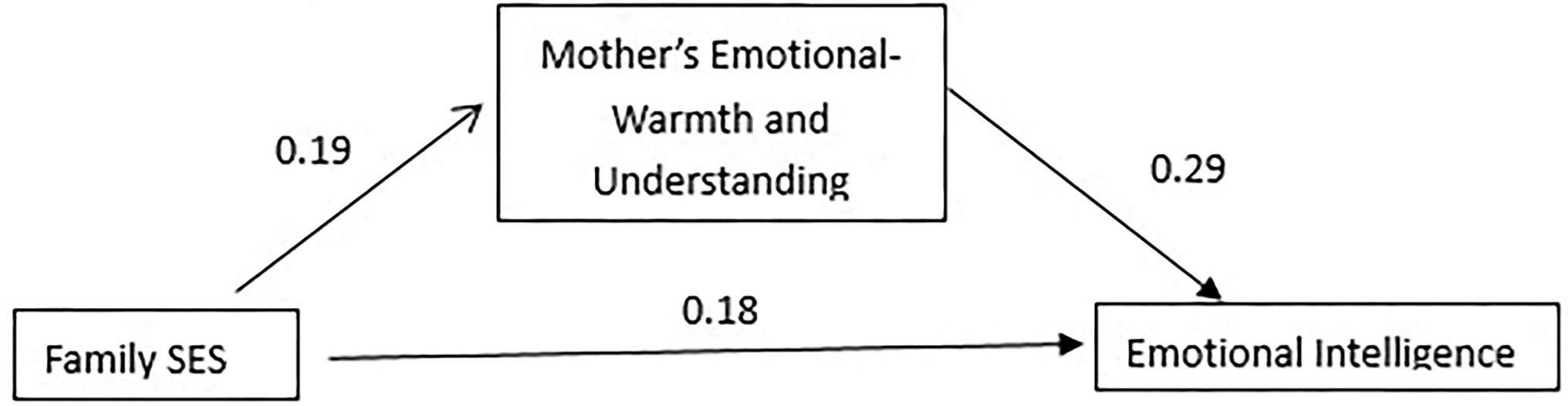 www.frontiersin.org