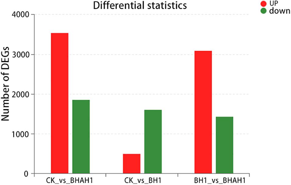 Frontiers | Effect of Berberine Hydrochloride Treatment on ...