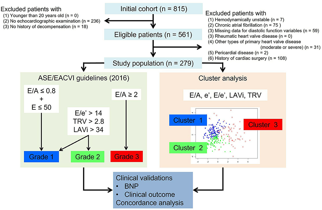 Algorithm of diagnosis of heart failure or left ventricular dysfunction.