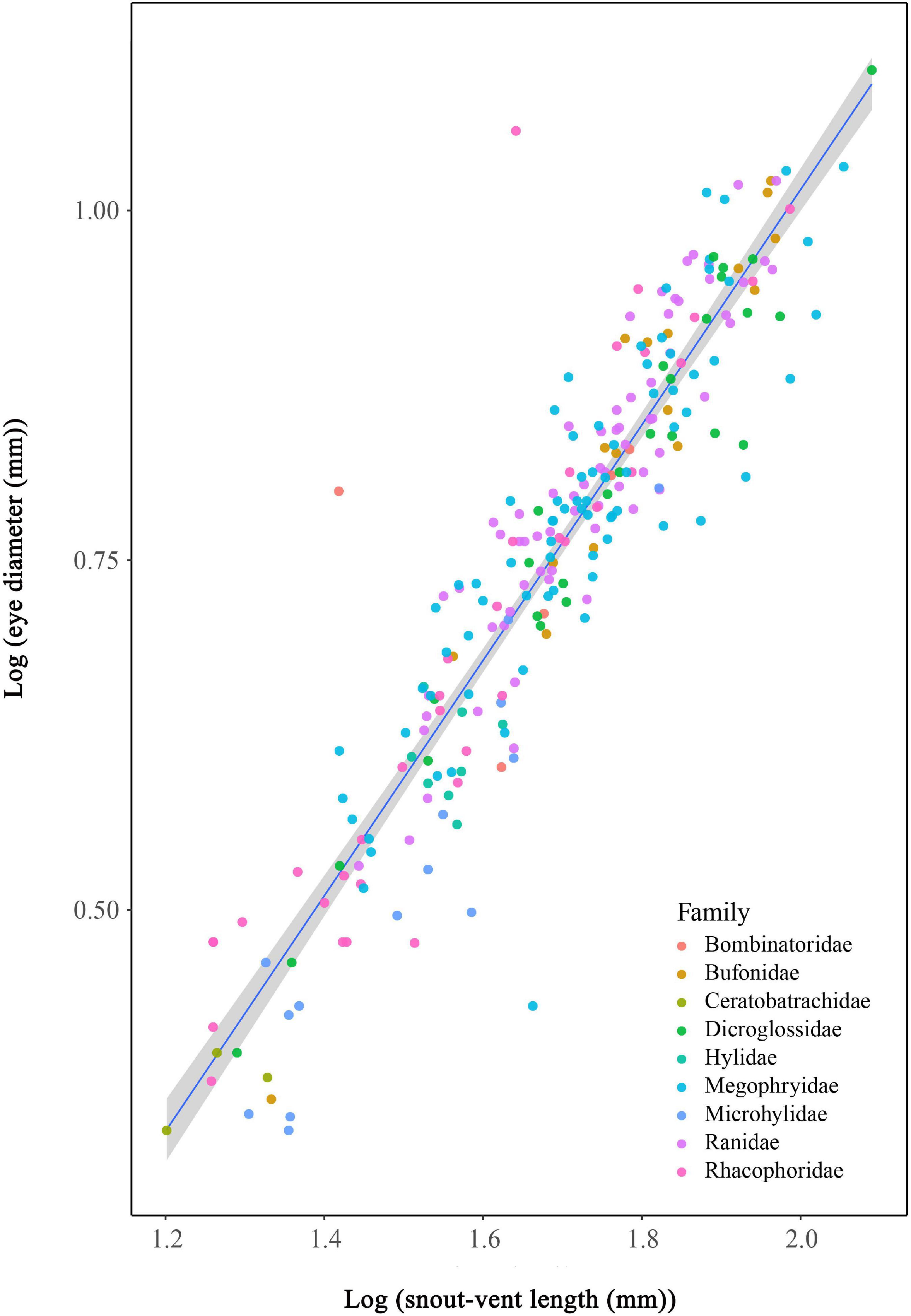 Nocturnality constrains morphological and functional diversity in the eyes  of reef fishes, BMC Ecology and Evolution