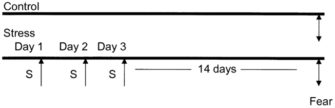 www.frontiersin.org