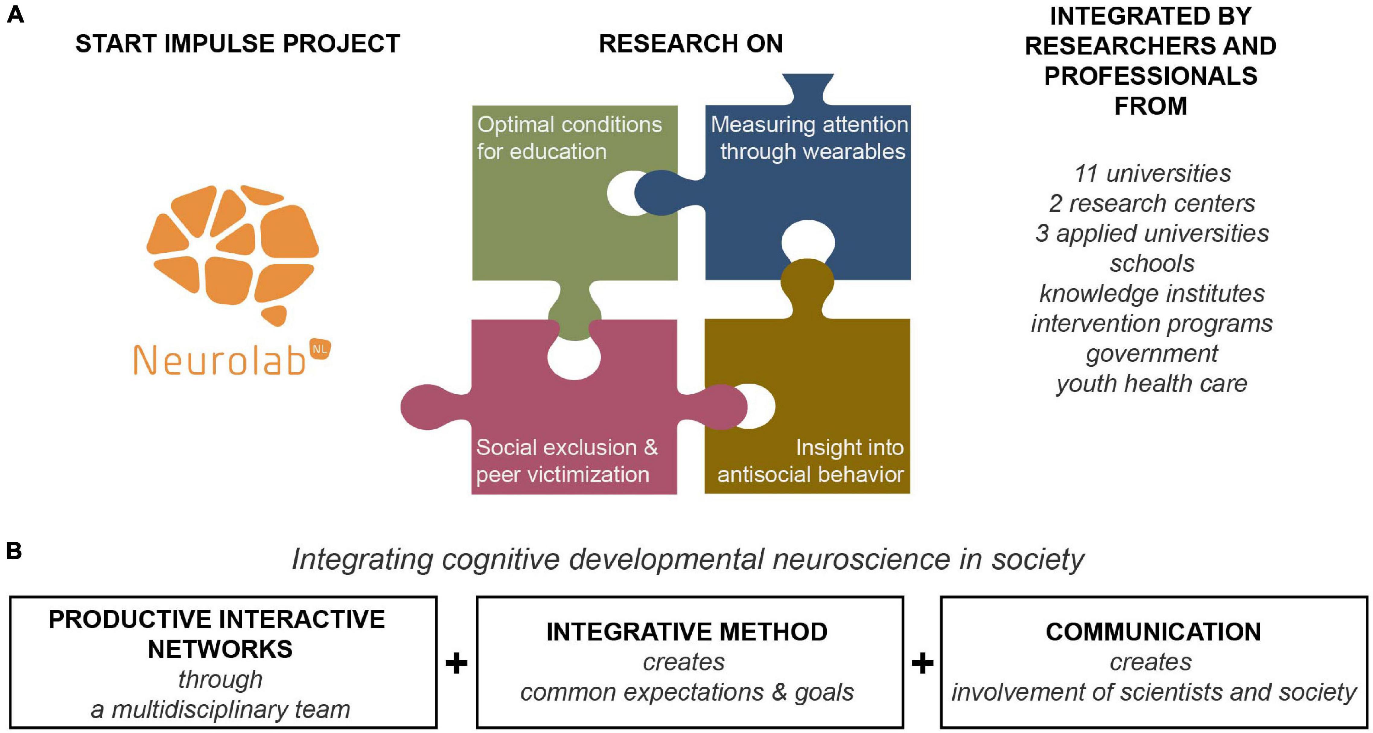 new research on cognitive neuroscience