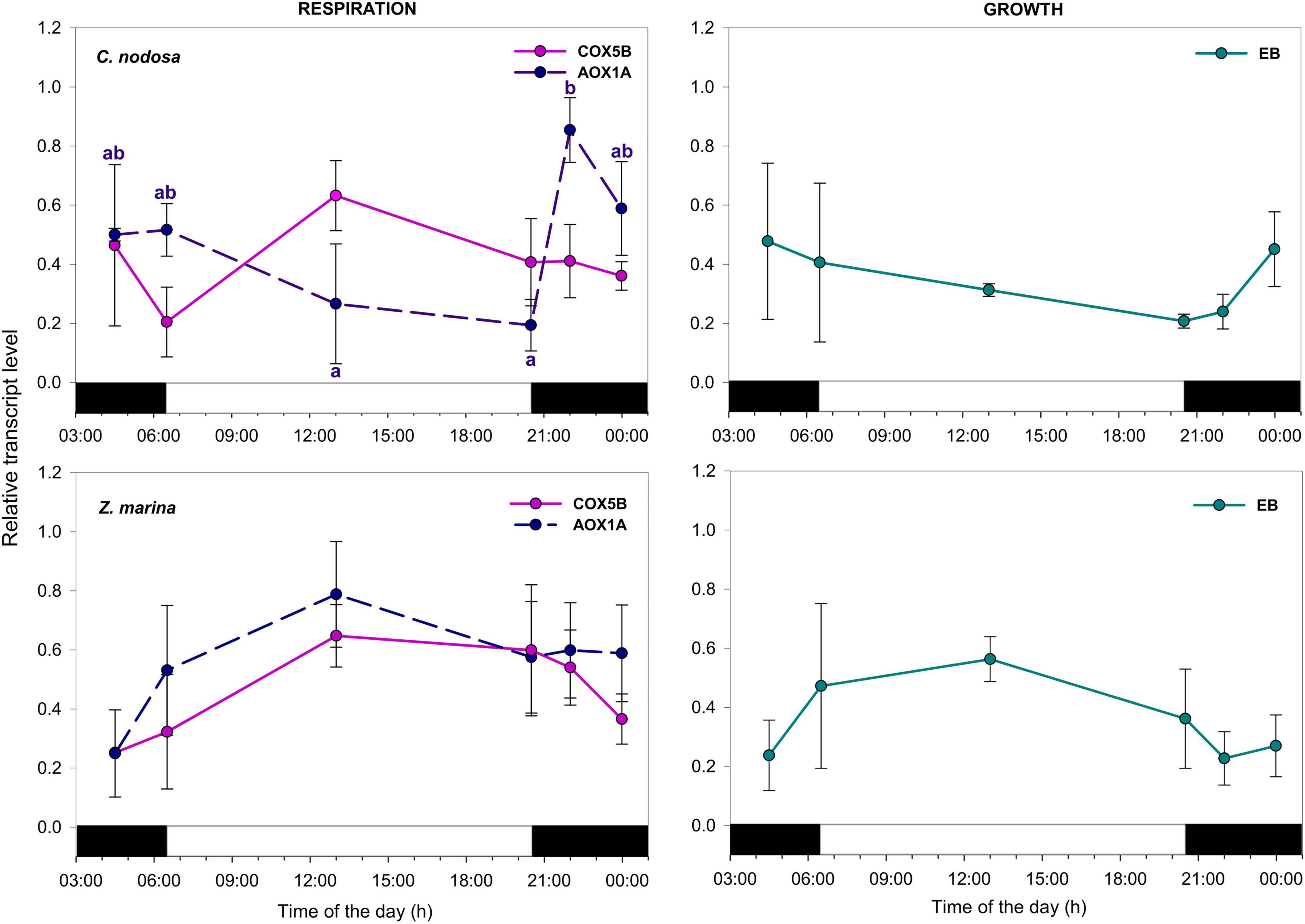 Frontiers  2b-RAD Genotyping of the Seagrass Cymodocea nodosa Along a  Latitudinal Cline Identifies Candidate Genes for Environmental Adaptation