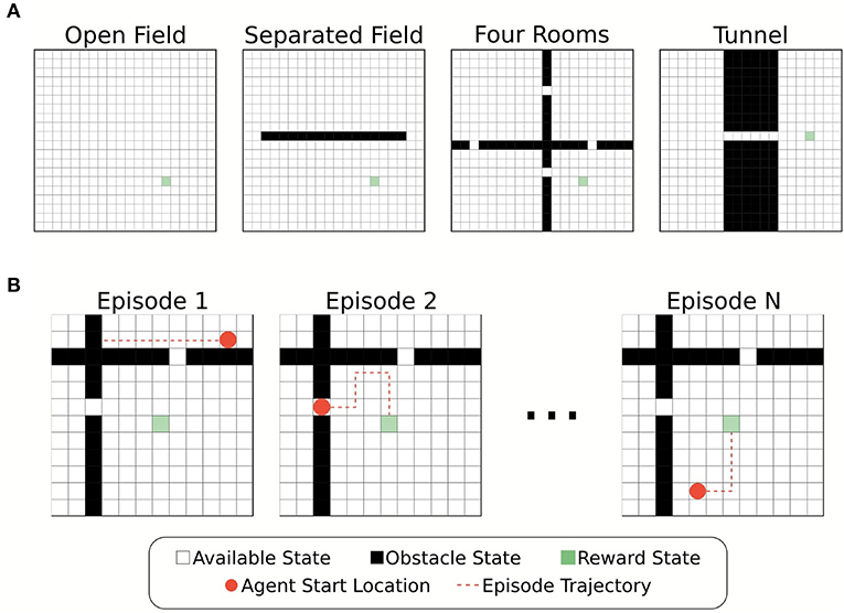 Forgotten memory storage and retrieval in Drosophila