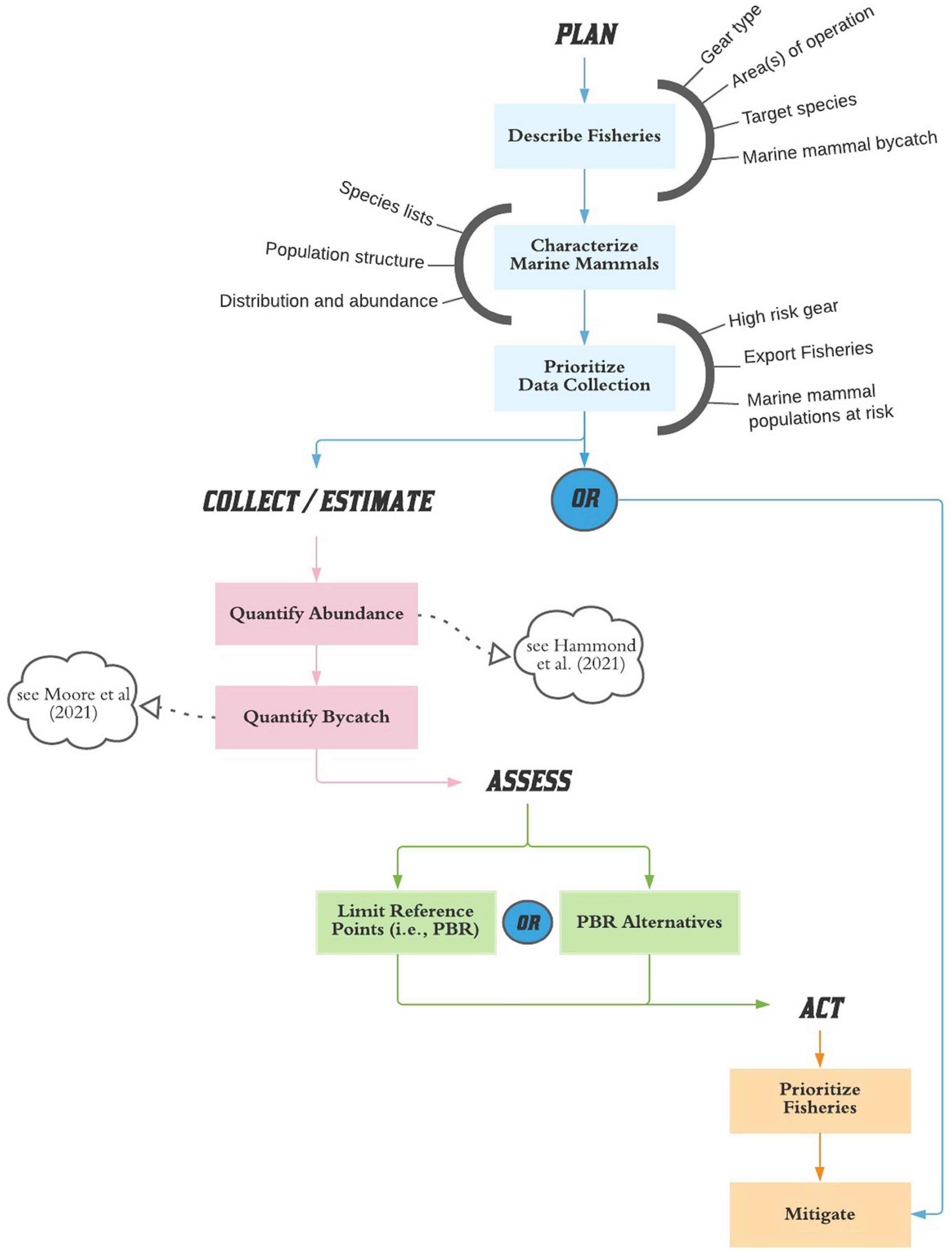 Impacts of fisheries bycatch on marine turtle populations worldwide: toward  conservation and research priorities - Wallace - 2013 - Ecosphere - Wiley  Online Library