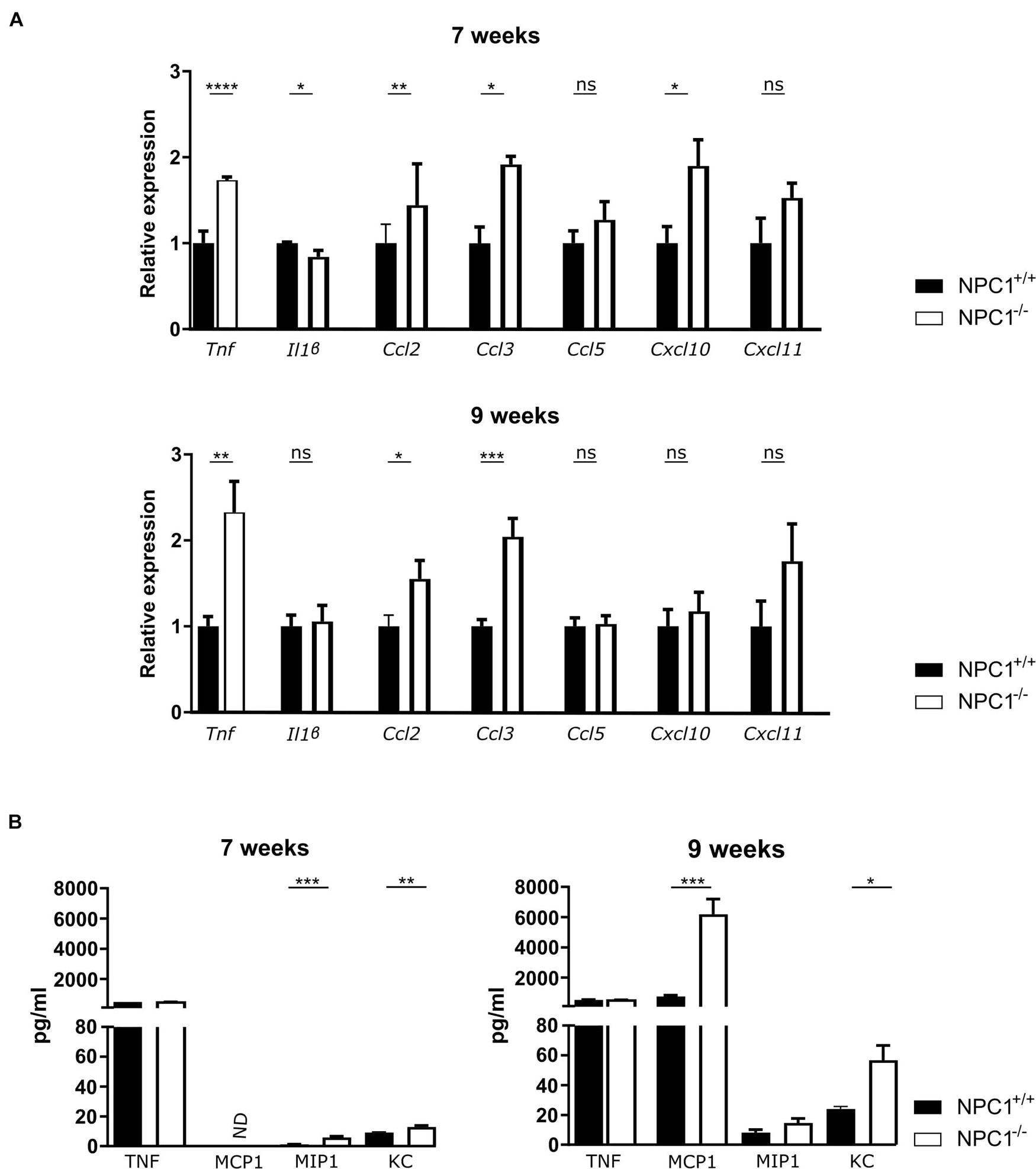 Niemann-Pick disease type C  Alzheimer Society of Canada