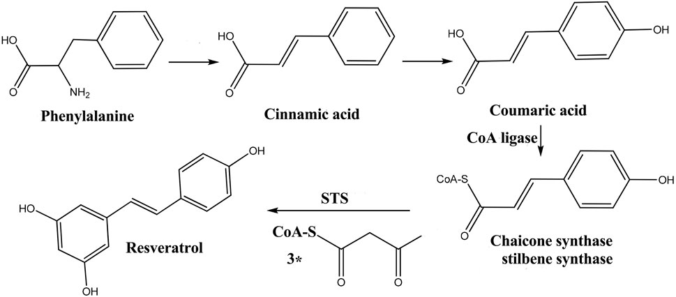 Transformation of Stilbene Glucosides From Reynoutria multiflora During Processing Transformation of Stilbene Glucosides From Reynoutria multiflora During Processing