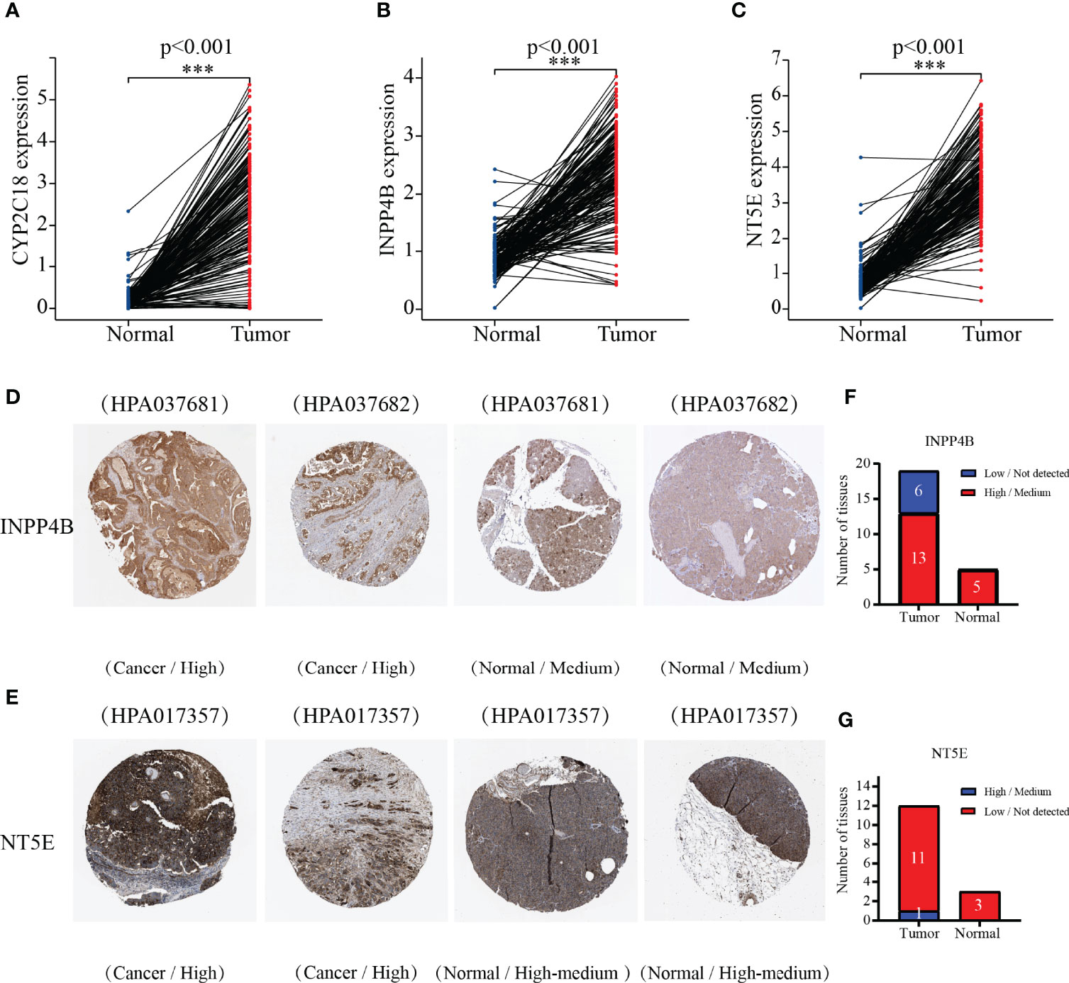 Crosstalk of HNF4α with extracellular and intracellular signaling pathways  in the regulation of hepatic metabolism of drugs and lipids - ScienceDirect