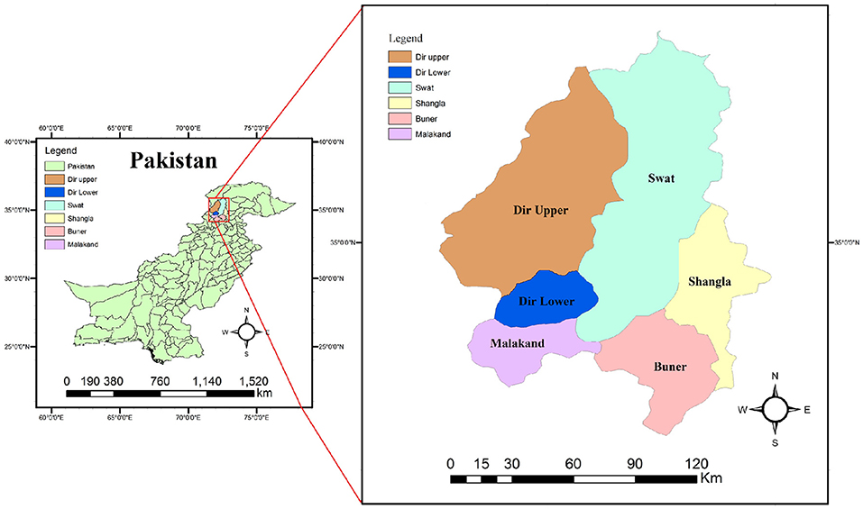 Frontiers Prevalence and Molecular Characterization of Cystic