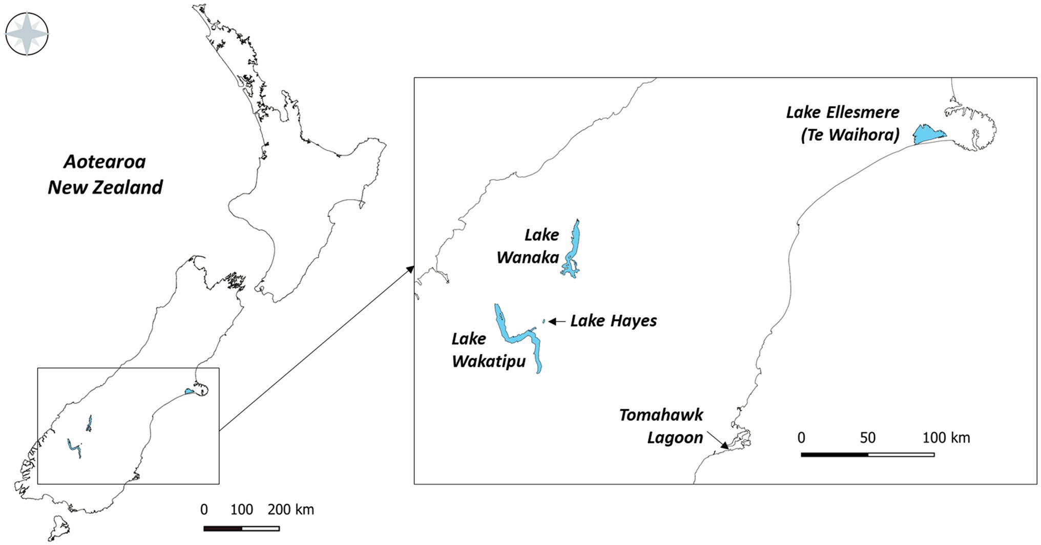 Frontiers | Metabarcoding Reveals Lacustrine Picocyanobacteria